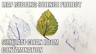 Simulate Clean Room Contamination with Crayon Leaf Rubbings | Science Project
