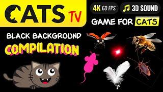 CAT TV -  ULTIMATE Compilation for cats 🪳 Game for cat  4K [60FPS]