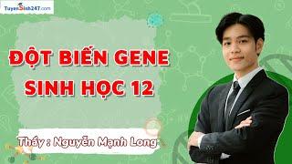 Đột biến biến Gene | Sinh học 12 - Luyện thi TN THPT & ĐH, ĐGNL, ĐGTD | GV: Nguyễn Mạnh Long