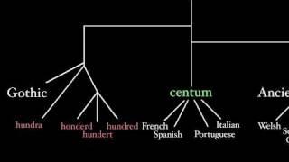 Latin and Its Indo-European Language Family