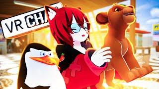  O CAPITÃO DOS PINGUINS encontrou o SIMBA no VRCHAT 