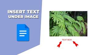 how to insert text under an image in Google Docs