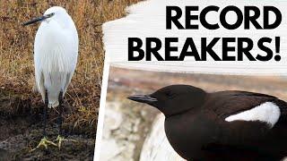 These BIRDS are LIVING LONGER than ever before!