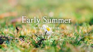 A piano melody that sings like early summer l GRASS COTTON+