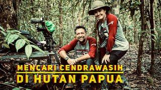 ALENIA'S JOURNEY UNCOVER PAPUA "CENDRAWASIH BURUNG TANAH SURGA" (Behind The Scene)