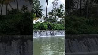 Valliyaru check Dam falls  | kanyakumari | subair official