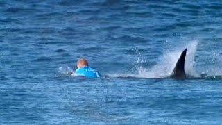 Angriff vor laufender Kamera: Hai attackiert Surfer in Südafrika