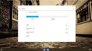 Manage Chromebook Storage