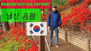 Koreya bo'ylab sayohat || Namsan bog'iga sayohat.  #korea #남산공원 #한국 #한국여행 #sayohat #корея