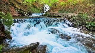 Peaceful Waterfall & River Flowing Sound. Calming Water Stream and Rock. White Noise for Sleeping.