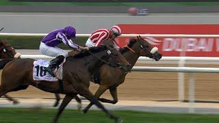 TOWER OF LONDON routs Dubai Gold Cup rivals