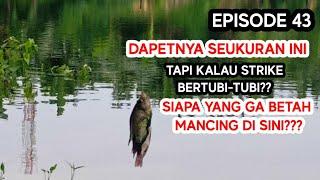  LUAR BIASA !!! KALAU STRIKE MANCINGNYA BERTUBI-TUBI, GIMANA BIKIN GA MAU PULANG!!!  (EPISODE 43)