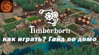 Timberborn гайд по новой стратегии