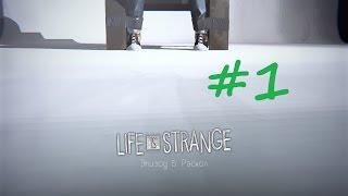 Life is Strange - Эпизод 5: Раскол #1