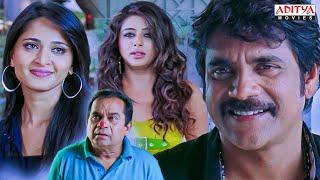 Ragada Movie Scenes | Hindi Dubbed Movie | Nagarjuna, Anushka, Priyamani |Brahmanandam