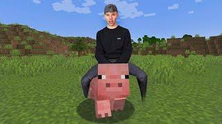 Minecraft sangen