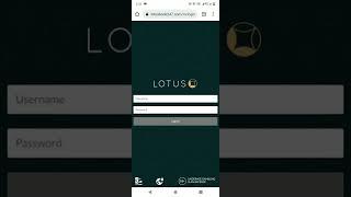 casino work in Lotusbook247.com