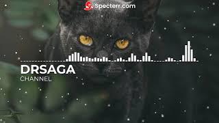 DRSAGA-Birthday | No Copyright Music