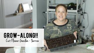 Growalong Video Two!  How To Start Yarrow from Seed, Updates on Snapdragons & Feverfew.