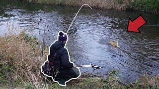 These River Pigs Crush The Ned Rig!  None Stop Action!