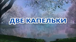 ДВЕ КАПЕЛЬКИ Сл. Тамары ИВАНОВОЙ Муз. Сергея ШЕВЧЕНКО Исп. Сергей ШЕВЧЕНКО