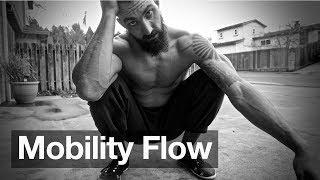 Mobility Flow Warmup: Shoulder & Hip Mobility through Movement