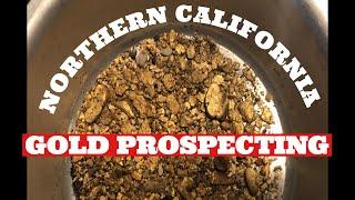 NORTHERN CALIFORNIA GOLD PROSPECTING WITH THE LOCALS