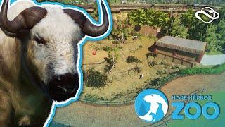 Takin our Time! | Takin Enclosure Speedbuild | Hope Harbor Zoo