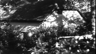 Clouds Hil Cottage completely surrounded by mature shrubs and trees.T.E. Lawrence...HD Stock Footage