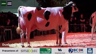 Monterey Shira EX92 - Agro Nord Expo 2024