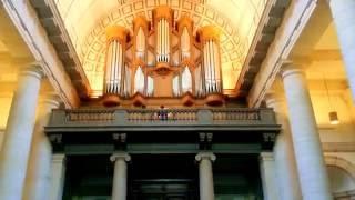 Pirates of the Caribbean - Davy Jones's theme cover church organ by Grissini Project