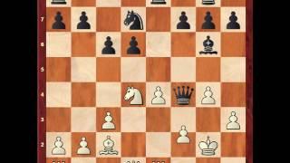 Magnus Carlsen vs Wei Yi (C24 Bishop's Opening Tata Steel Chess 2017 (4))  1-0