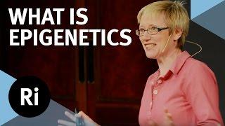What is Epigenetics? - with Nessa Carey