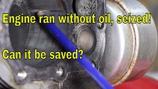 Engine ran without oil, seized! Can it be saved?
