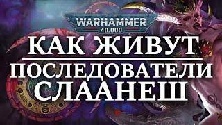 Как живут ДЕТИ ИМПЕРАТОРА  и последователи СЛААНЕШ? (WARHAMMER 40000)