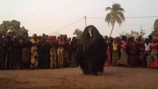 Kumpo dance in Kafountine, Senegal