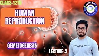 human reproduction class 12  |lec-4| @SERCnet