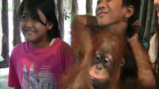 Taman Safari Indonesia (Baby Zoo) - Bogor Travel Guide (Tourism) - Indonesia Travel Guide