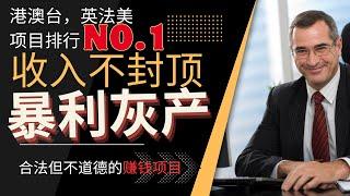 【赚钱项目必看】合法但不道德的賺錢項目，比搶銀行撈偏門還暴利！你絕對想不到，單日賺100萬，法律也拿他們沒轍！分享暴利灰產，外行人一輩子都不知道的行業內幕！普通人也可以做