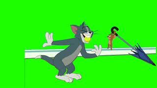 Green Screen Tom and Jerry Cartoon
