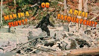 PATTERSON-GIMLIN BIGFOOT FILM. MAN IN A SUIT OR A REAL SASQUATCH?