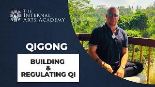 Qigong Pointer: Building vs Regulating Qi