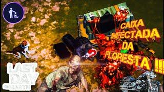 Got infected box from forest!  (Caixa infectada da floresta !!!)....