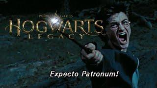 EXPECTO PATRONUM! - Hogwarts Legacy BLIND Part 1