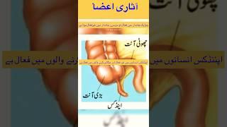 Vestigial organ (آثاری اعضا) urdu medium class 10 SC2 ( #objtive type#easy learn science