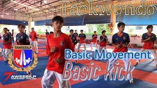 Taekwondo,Basic Movement,Basic Kick