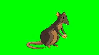 Rat green screen video Mouse green screen video MOUSE WALKING TALKING VIDEO TRANSPARENT