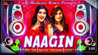 new hindi dj song nagin gin gin  hindi song  //dj BS remix zone