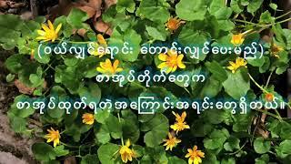 ဆရာ တိုးဝေ ရဲ့ တောကျောင်းဆရာ (မေတ္တာ စာတမ်းများ)