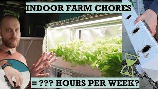 Indoor Hydroponic System Maintenance: How Much Time Do You Need?